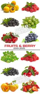 Fruits & berry