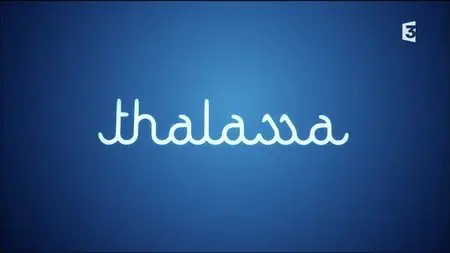 (Fr3) Thalassa - Vanuatu, l'Océanie authentique (2015)