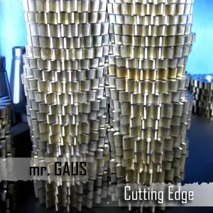 Mr. Gaus - Cutting Edge (2009/2012)