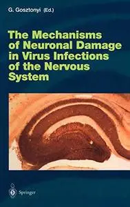 The Mechanisms of Neuronal Damage in Virus Infections of the Nervous System