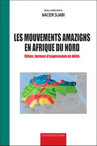 Nacer Djabi, "Les mouvements amazighs en Afrique du nord: Élites, formes d'expression et défis"