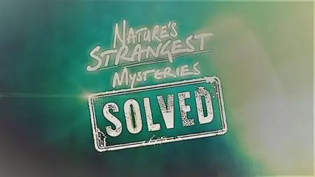 LLC - Natures Strangest Mysteries Solved Series 1:Part 14 Disco Spider (2019)