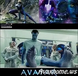 Avatar Movie Best Wallpapers