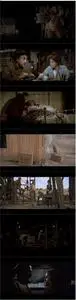 Oklahoma Crude (1973) [w/Commentary]