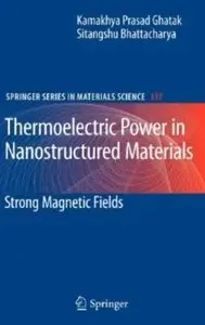 Thermoelectric Power in Nanostructured Materials: Strong Magnetic Fields