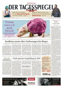 Der Tagesspiegel - 29 Mai 2022