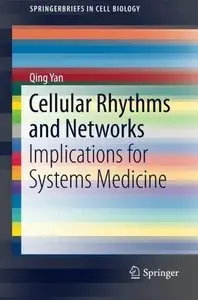 Cellular Rhythms and Networks: Implications for Systems Medicine