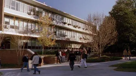 Road Trip (2000)