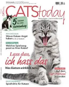 Cats Today – August 2019