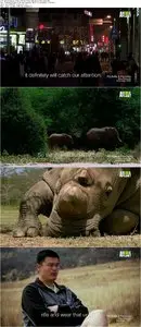 Saving Africas Giants with Yao Ming (2014)