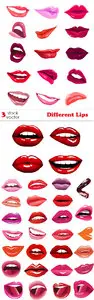 Vectors - Different Lips