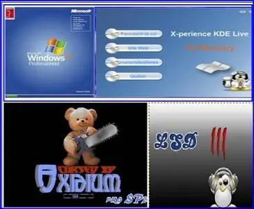 French XP Different Version &Live CD in One Magic Boot DVD