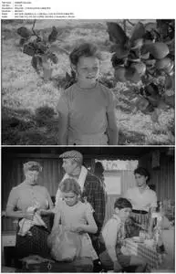 Adventure in the Hopfields (1954)