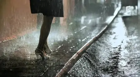 (Fr5) L'art de la pluie (2014)