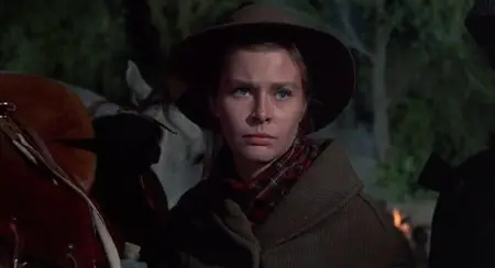 Shenandoah (1965)