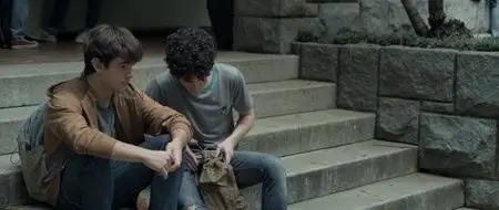 Hoje Eu Quero Voltar Sozinho / The Way He Looks (2014)