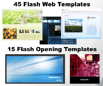 Flash Web Templates