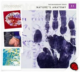 Photodisc Background Series Vol. 31 - Nature's anatomy