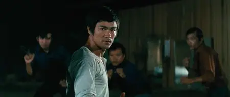 The Big Boss / Tang Shan Da Xiong (1971)