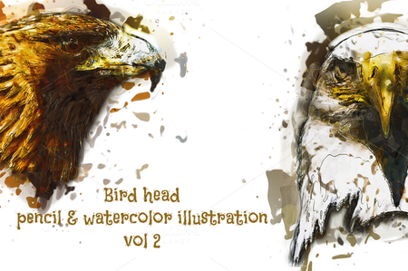 CreativeMarket - Bird Head Pencil & Watercolor vol 2