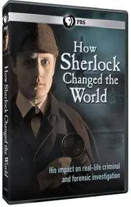 National Geographic - How Sherlock Changed the World (2013)