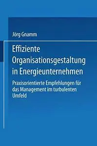 Effiziente Organisationsgestaltung in Energieunternehmen: Praxisorientierte Empfehlungen für das Management im turbulenten Umfe