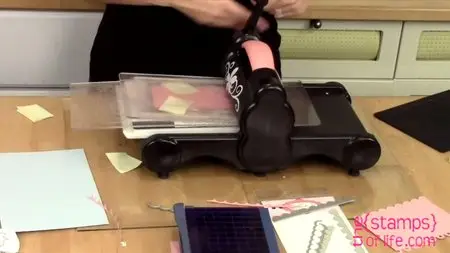 Stephanie Barnard's Stamps of Life