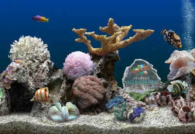 SereneScreen Marine Aquarium v3.1.5563 