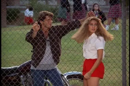Девочки хотят повеселиться / Girls Just Want to Have Fun (1985, DVD5 + DVDRip)