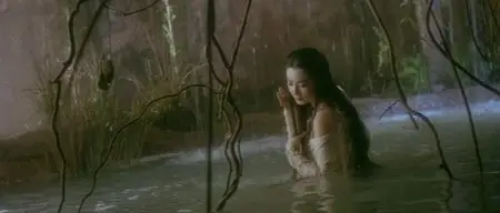 The Bride with White Hair / Bai fa mo nu zhuan (1993)