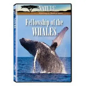 Nature Fellowship Of The Whales (2009)