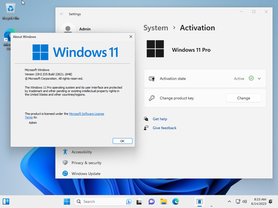 Windows 11 Pro 22H2 Build 22621.1848 (No TPM Required) Preactivated Multilingual June 2023