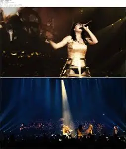 Within Temptation: Let Us Burn: Elements & Hydra Live in Concert (2014)