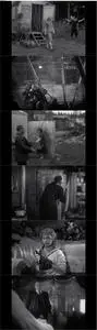 Man on a Tightrope (1953)