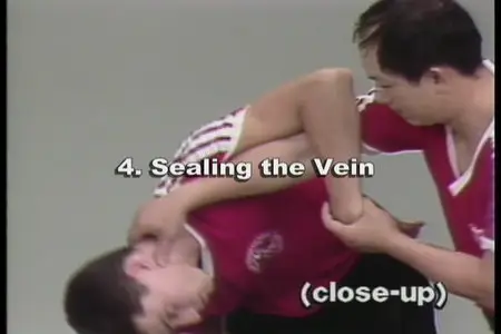 Analysis of Shaolin Chin Na