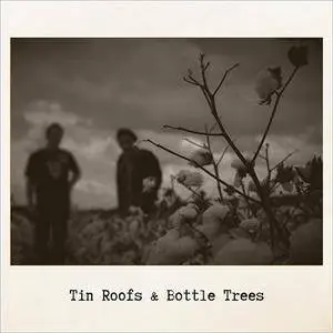 Daniel Eriksen & Stig Sjøstrøm - Tin Roofs & Bottle Trees (2018)