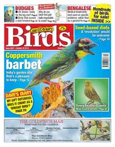 Cage & Aviary Birds – 29 October 2014