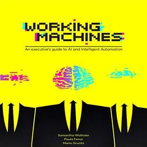 Working Machines: An Executive's Guide to AI and Intelligent Automation [Audiobook]