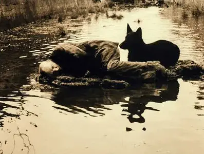 Stalker (Сталкер) - Andrei Tarkovsky (1979)