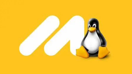 Ultimate Linux Guide with Interview Preparation