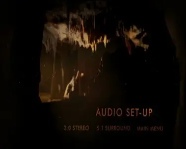 Cave of Forgotten Dreams (2010)