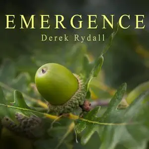 «Emergence: Seven Steps for Radical Life Change» by Derek Rydall