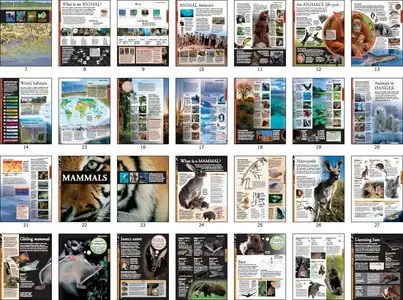 Animals: A Visual Encyclopedia, 2nd Edition