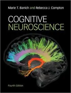 Cognitive Neuroscience (Repost)