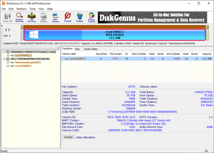 DiskGenius Professional 5.6.0.1565 (x64) Multilingual Portable