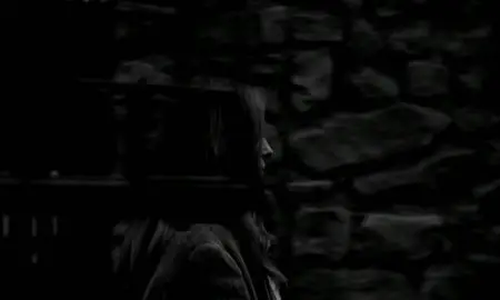A Torinói ló (2011)