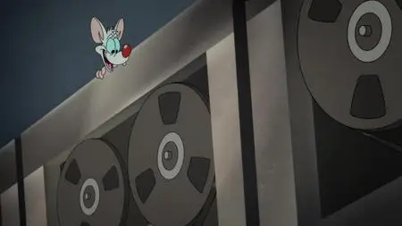 Animaniacs S02E12