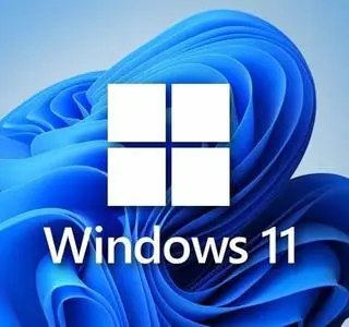 Windows 11 21H2 10.0.22000.194 AIO 26in1 (x64) October 2021