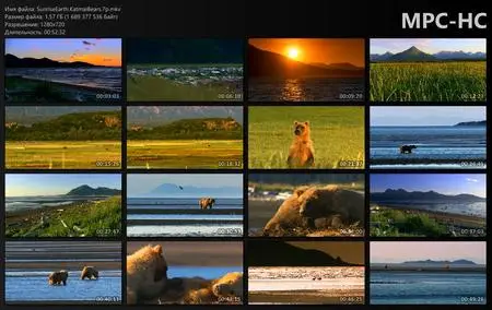 Sunrise Earth: Alaska. Katmai Bears (2005)