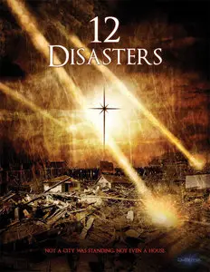 The 12 Disasters of Christmas (2012)
